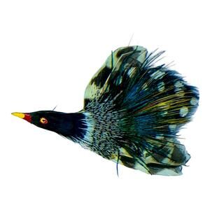 Real Scottish Plume Feather Bird Pin Brooch Hand Painted